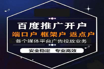 SEM服务案例：打造行业领先品牌